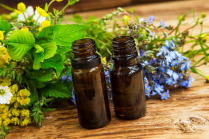 ריפוי עם פרחי באך - סודות הריפוי של פרחי באך עם נועה לוי