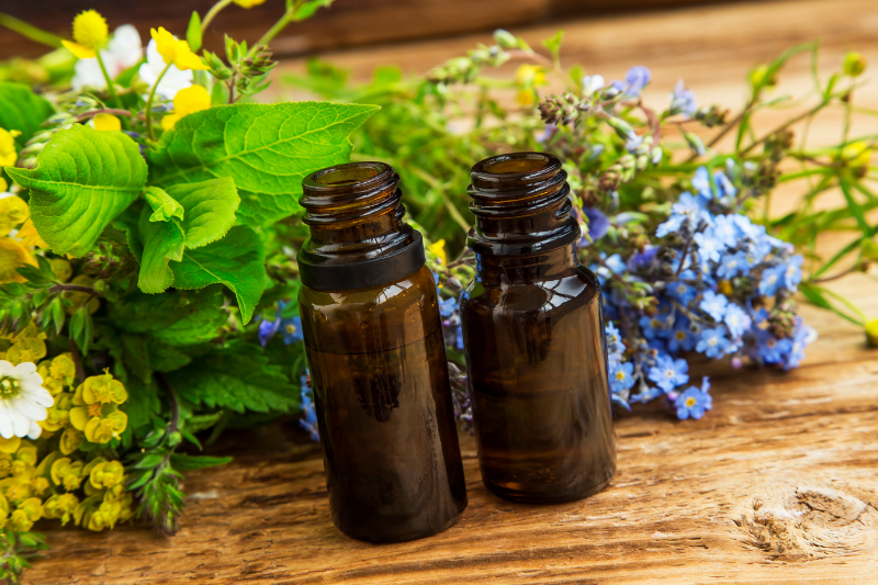 ריפוי עם פרחי באך - סודות הריפוי של פרחי באך עם נועה לוי